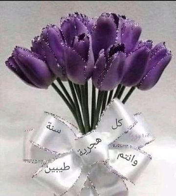 ibTcgl7wMRiw7Gt's profile picture. 