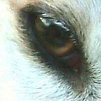 Dave Melville (@davemelvilleobe) 's Twitter Profile