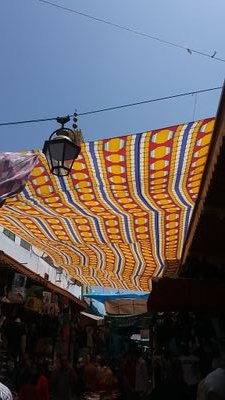 Summers54763991's profile picture. 