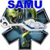 French Paramedic (@frenchparamedic) Twitter profile photo French Paramedic (@frenchparamedic) Twitter profile photo