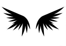 FLY is a trendy, urban euro-style fashion outlet located in The Falls, West Mall! We Tweet fashion! We love tattoos and Krav Maga!