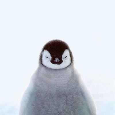 qHfldq1rBRraEst's profile picture. 裏垢 1995 DMください🐥#関西