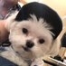p king (@pking558) Twitter profile photo p king (@pking558) Twitter profile photo