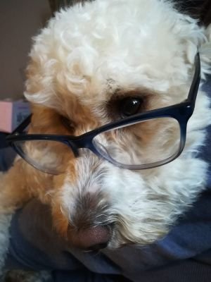 Writer of NA #SFF | Dog mum | Feminist with a PhD in psychology | she/her | #amquerying