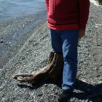 JMFE (@jmfeclavell) 's Twitter Profile