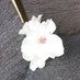 @ (@r50105010) Twitter profile photo @ (@r50105010) Twitter profile photo