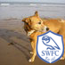 Still owned by Dilys (even though she's no longer with us) & Leif lurchers. Sheffield Wednesday & https://t.co/hwO3VNzllK supporter... and I write a bit.