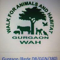 Walk For Animals & Habitat,Gurugram(@WGurugram) 's Twitter Profile Photo