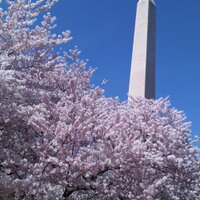 eaterDC (@eaterdc) 's Twitter Profile