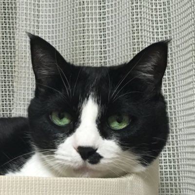 Guzuri5628's profile picture. なんとな〜く、さりげな〜く、ぐずってみ〜る