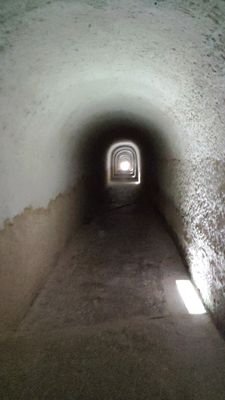 Inextremis5's profile picture. 