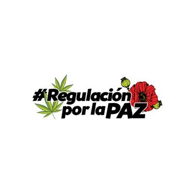 Somos una coalición de personas, colectivos y organizaciones que estamos impulsando una transformación integral de las políticas de drogas en México.