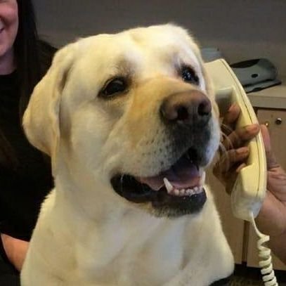 WhoIs_Atlas's profile picture. 