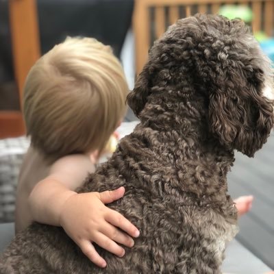 jesbryant's profile picture. 