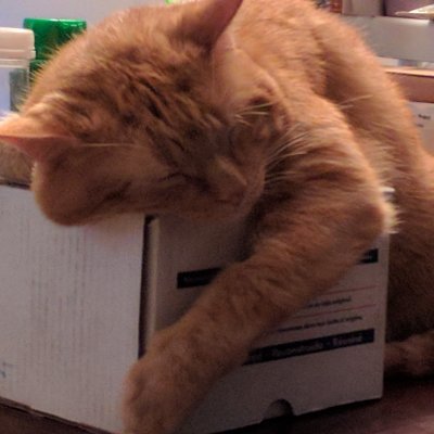 Tarella99's profile picture. Avid reader and gamer also a Certified IT tech with all certifications currently available