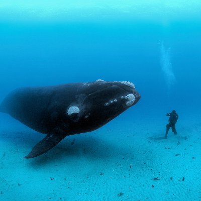 Jn8z7h3Z7Xgjtgh's profile picture. 30歳。石川県内で新しい出会い探してます。コスプレとか女装とかに興味あり(観る専門) 一度でいいいらオトコの娘犯してみたい〜(*´ω｀*)    よくわからん人間ですよ、変わり者の人と絡みたい