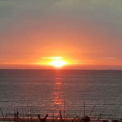 JosevanderLee1's profile picture. 