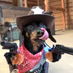 mikkelreb0rn (@mikkelreb0rn) Twitter profile photo mikkelreb0rn (@mikkelreb0rn) Twitter profile photo