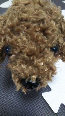 takeo69491's profile picture. #ダイエット垢　#産後ダイエット
身長161㌢
出産時69㌔→産後6ヶ月(47㌔)
ダイエット→体重キープ&サイズダウン
キープ47~46㌔台
糖質制限

無言フォロー失礼します。