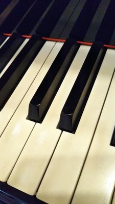 短大音楽科ピアノ専攻卒 社会人1年目の子と暮らし普通の会社で働いてます 仕事量減らし中でピアノを弾く時間があれば弾いています 日常の呟き多めです 本当はラヴェルが好きです❤