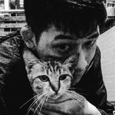 WildKit78680039's profile picture. cats are not traitors but they know who is better than whom!!!