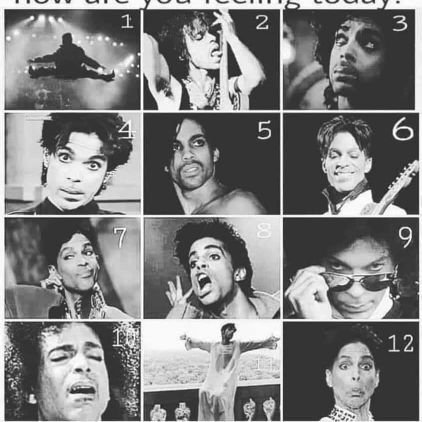 PurpleMita3's profile picture. Spreading love, laughter, and the color purple around the world!