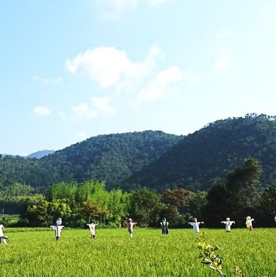 skrhanako_ko's profile picture. サクラ大戦とOSK日本歌劇団のコラボきっかけOSKファン。
SAKURA NIGHTの夢の続き待ってます。