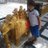 ad43_aman's profile image