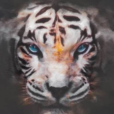 SlmAerab's profile picture. 