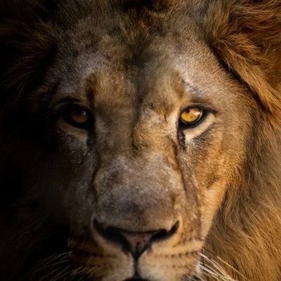 sir_kay99's profile picture. Jetlag is for wimps