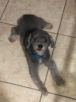 iJustWannaFol10's profile picture. i said what i said😔✊