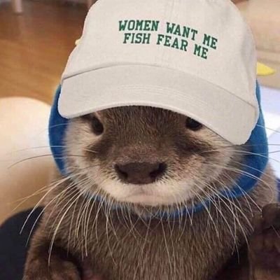 __jowo__'s profile picture. professional. loser.