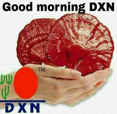 Devshan77607988's profile picture. GOOD MORNING