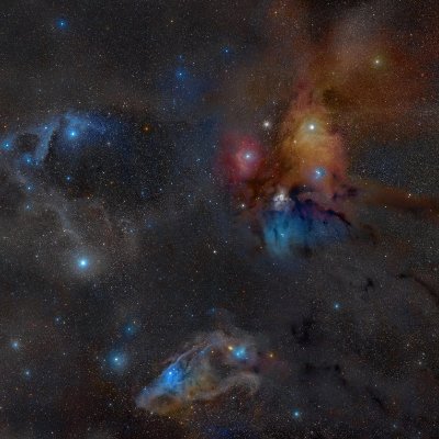 wlong79's profile picture. 