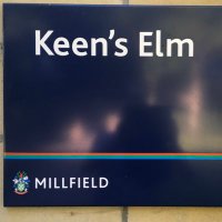 Keen's Elm(@keensElm) 's Twitter Profile Photo