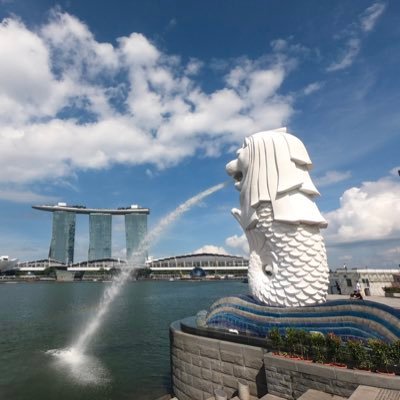 webwebweb9's profile picture. webな人