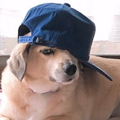 totowolves0920's profile picture. 高専専攻科　s1 サッカー部→GK FW futsal