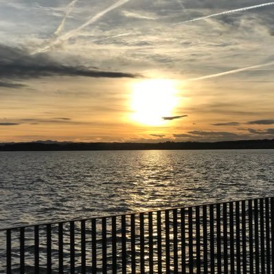 ThomasEngeler8's profile picture. Lebenskünstler