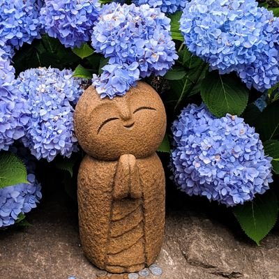 r_o_wally's profile picture. 映画、料理、写真、諸々やる