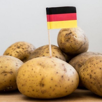 KartoffelPoE's profile picture. Kartoffeln sind lecker aber Reis ist besser