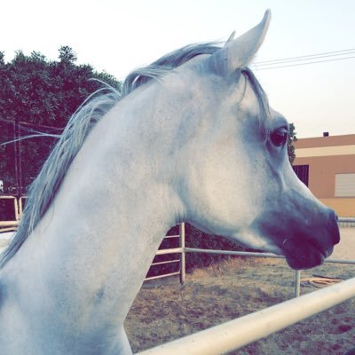 222cnc's profile picture. 