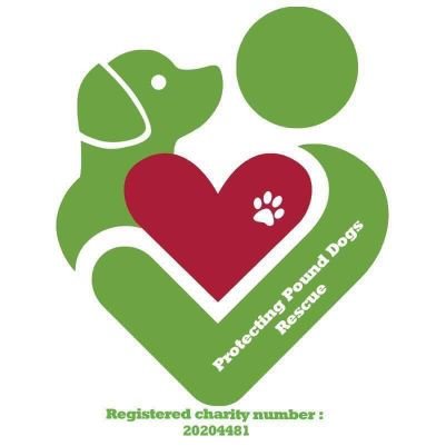 savethepounddog's profile picture. Dedicated dog lovers who are determined to get dogs out of the pound and into loving homes - join us :) protectingpounddogs@gmail.com