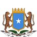 Somali Embassy-Russia🇸🇴 (@somaliainrussia) Twitter profile photo