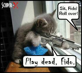 gibbydog's profile picture. 