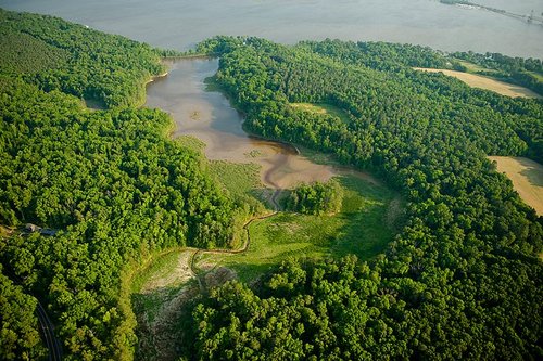 VCU Rice Rivers Center is VCU’s field station devoted to  environmental research, teaching and public service.