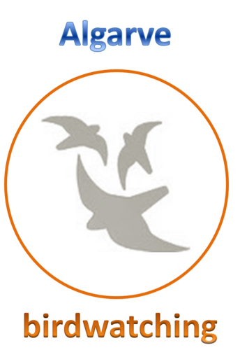 birdingalgarve's profile picture. I love birds