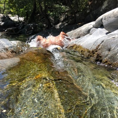 harunozcan56's profile picture. 6.his