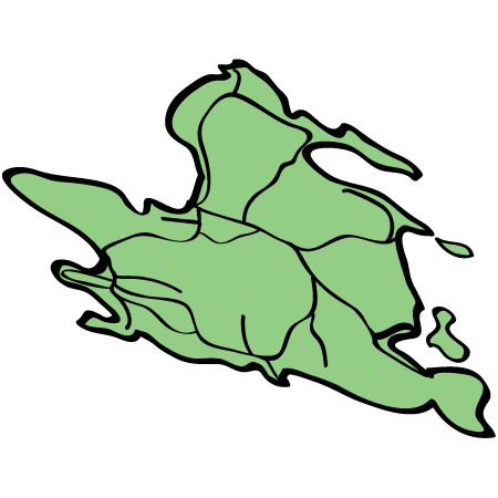 maynebc's profile picture. 