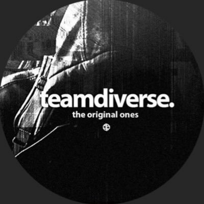 Team__Diverse's profile picture. We are a competitive Fortnite team who is trying to reach goals and get noticed.
