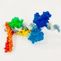 Takashi Fukaya (@fukayalab) 's Twitter Profile Photo Takashi Fukaya (@fukayalab) 's Twitter Profile Photo